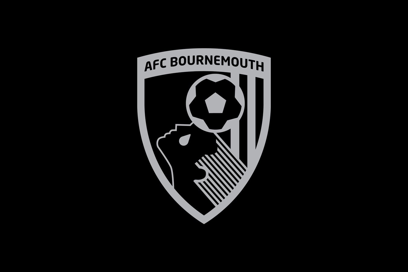 AFCB HATE HURTS EVERYONE